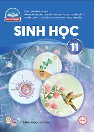 Sinh Học 11