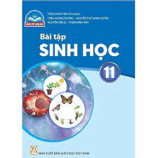 Bài tập Sinh học 11